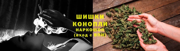 шишки Балахна