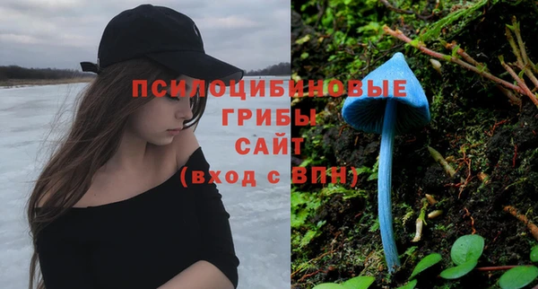шишки Балахна