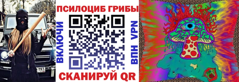 Купить  Нарткала  Галлюциногенные грибы GOLDEN TEACHER 